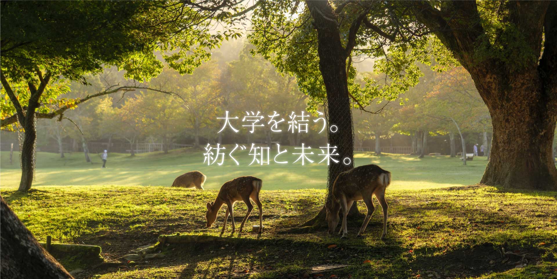大学を結う。紡ぐ知と未来。02