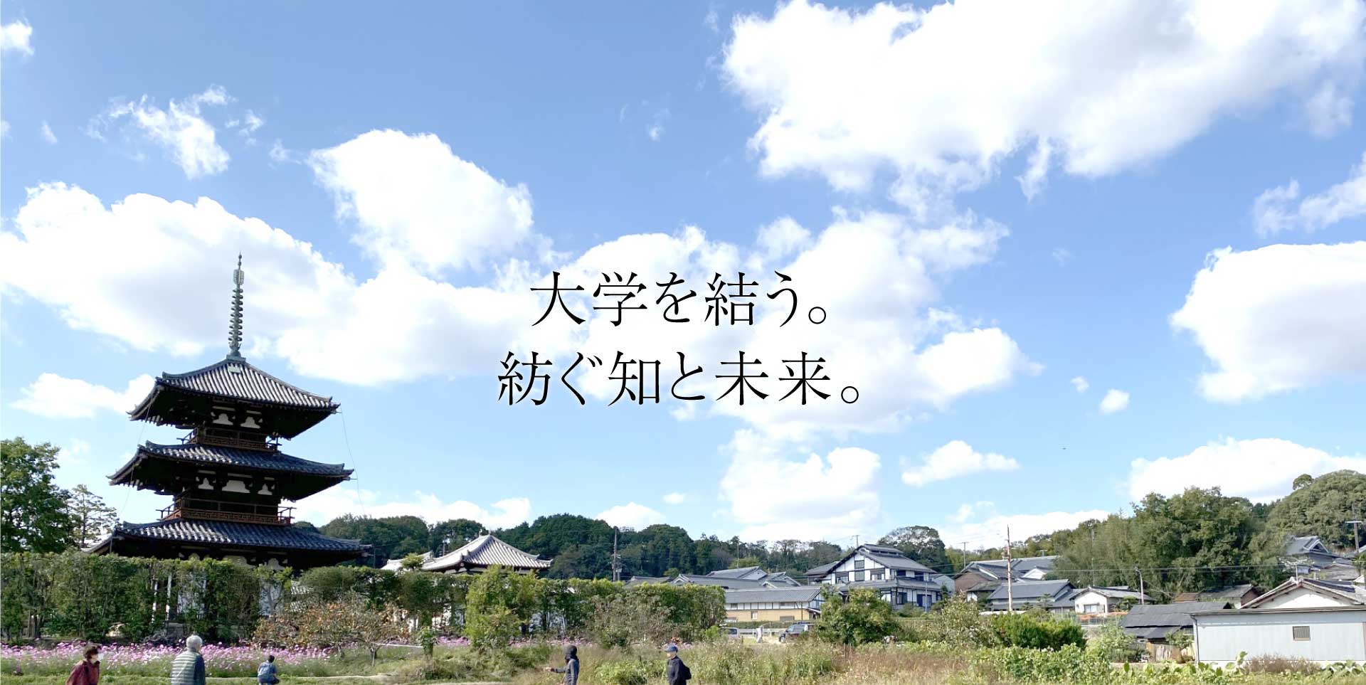 大学を結う。紡ぐ知と未来。03