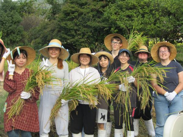 国際交流イベント「稲刈り体験」を開催しました（2025年10月8日）