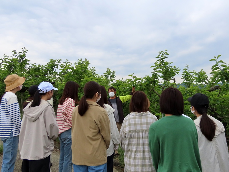 奈良型エクステンション制度