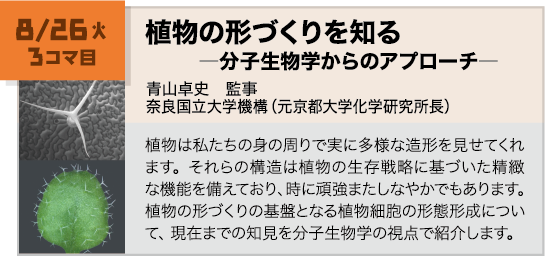 講義内容画像 8月26日 3コマ